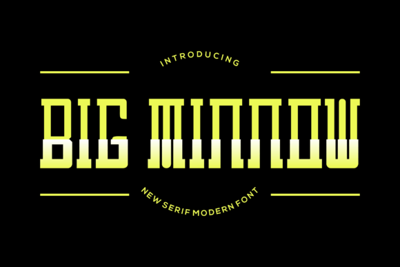 Big Minnow: A Display Font for Charming Handmade Product Designs