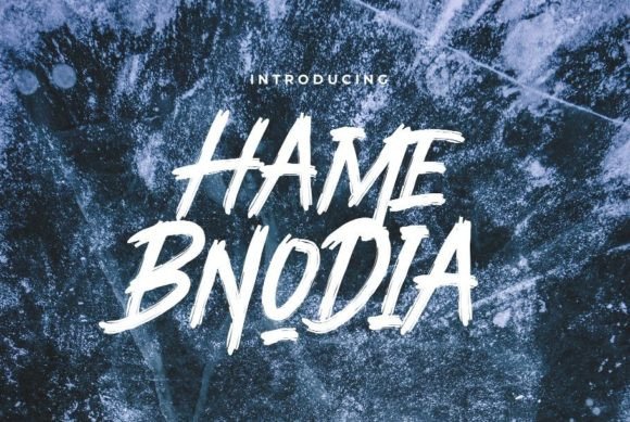 Hame Bnodia: A Brush Font for Editorial Warmth