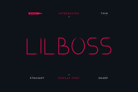 Lilboss: A Sleek Display Font for Crafters & Product Creators